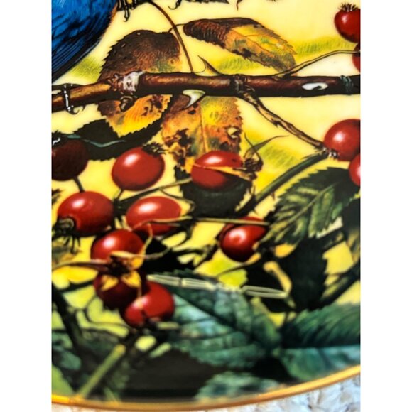 Vtg Portraits of Exquisite Birds The Beautiful Bluebirds Bradex Collector Plate - Picture 5 of 8